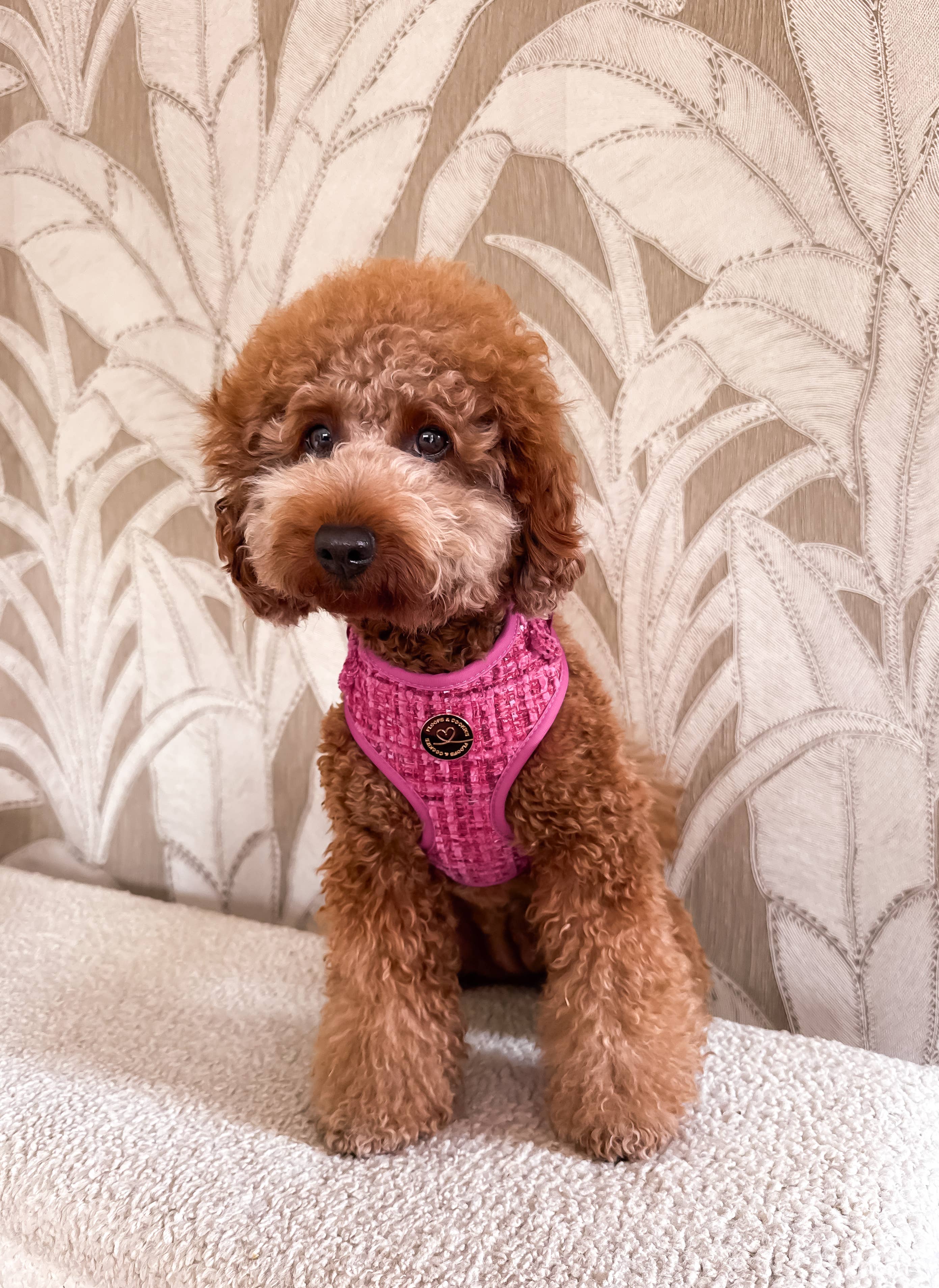 Floofs and Cookies - Wholesale Pet Harness - Dog - Chloe harness3