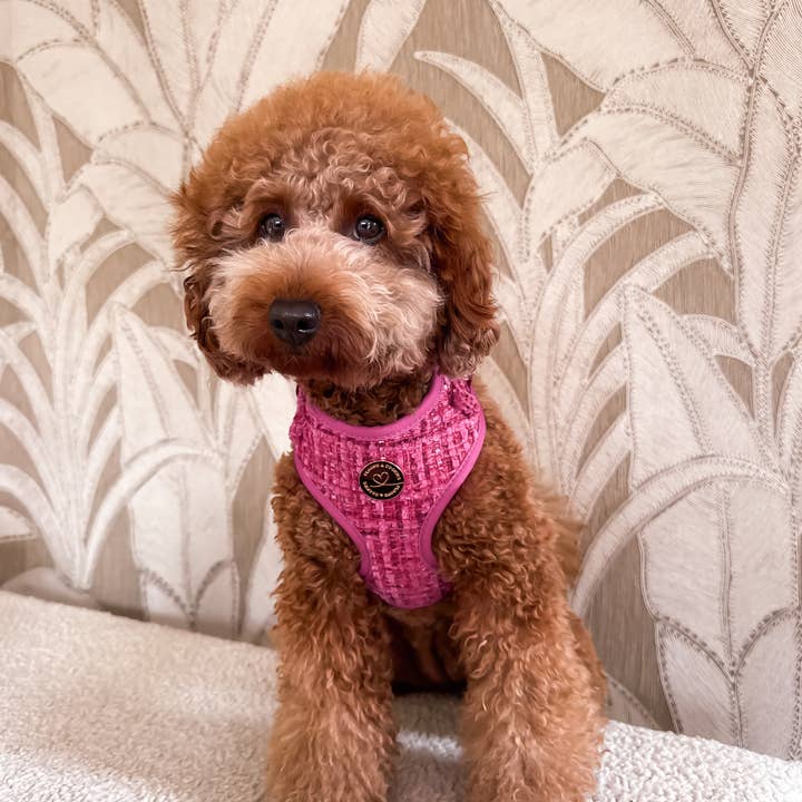 Floofs and Cookies - Wholesale Pet Harness - Dog - Chloe harness3