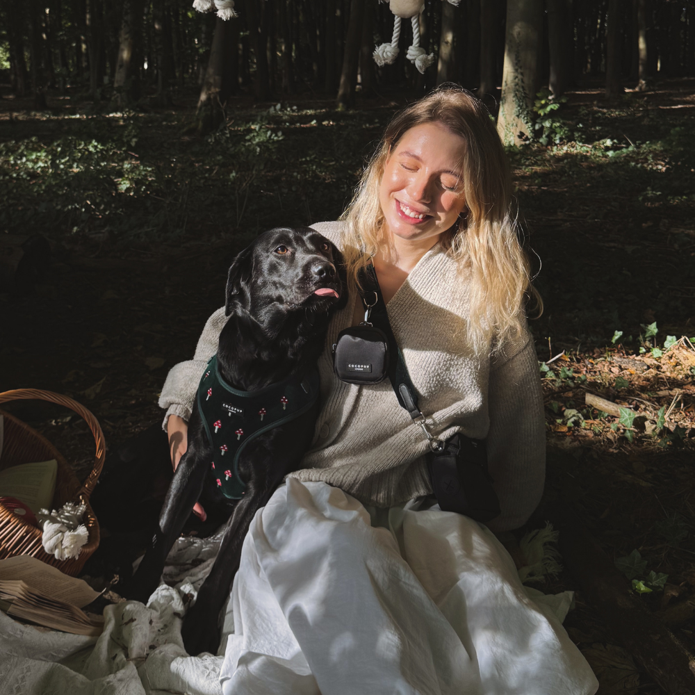 Cocopup London - Wholesale Pet Harness - Dog - Toadstool Trails Adjustable Neck HARNESS11