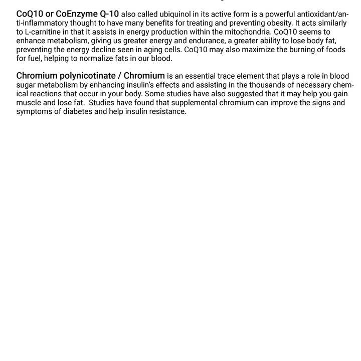 SpectraSpray Global - Wholesale Oral Supplement/Vitamin - MetaBoost Metabolic Booster Oral Supplement7