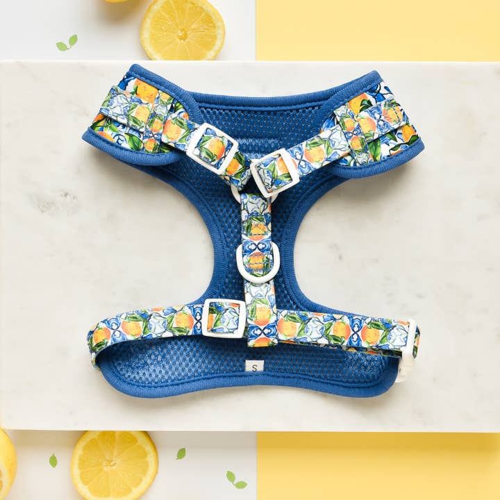 Cocopup London - Wholesale Pet Harness - Dog - Amalfi Lemon Adjustable Neck HARNESS