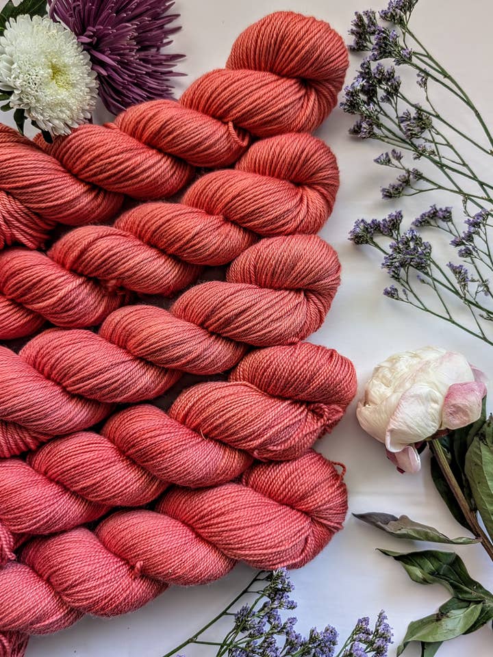 Snowplant, Yarn Worsted Superwash Merino Wool 4-pack for wholesale by The Ginger Needle