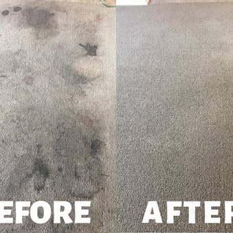 OCD Automotive - Wholesale All-purpose cleaning spray - Carpet Cleaner Shampoo Solution1