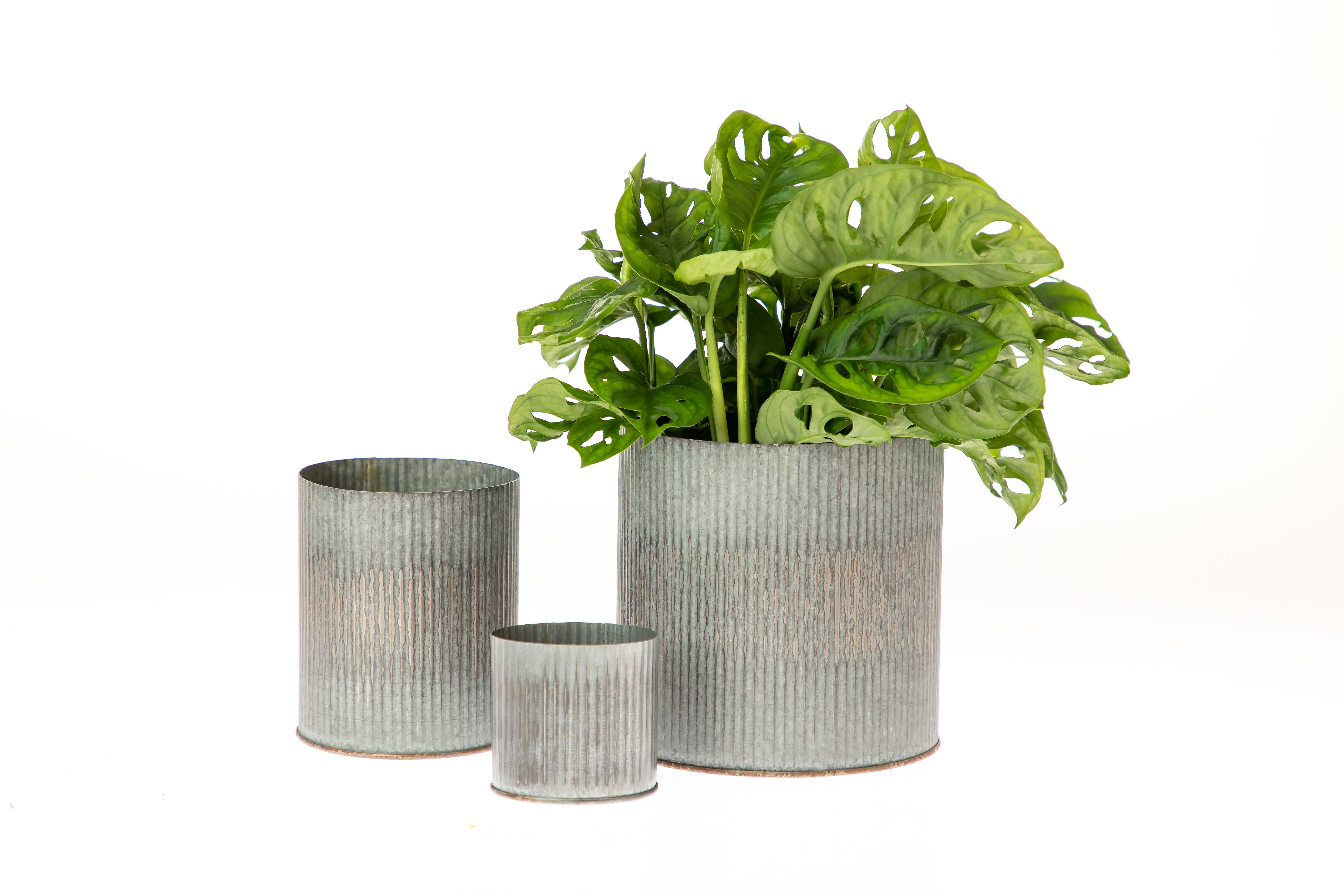 UNIMIX FLORAL – wholesale Vase – Tin Galvanized Pot Wedding, Event & Everyday 5"x5"11