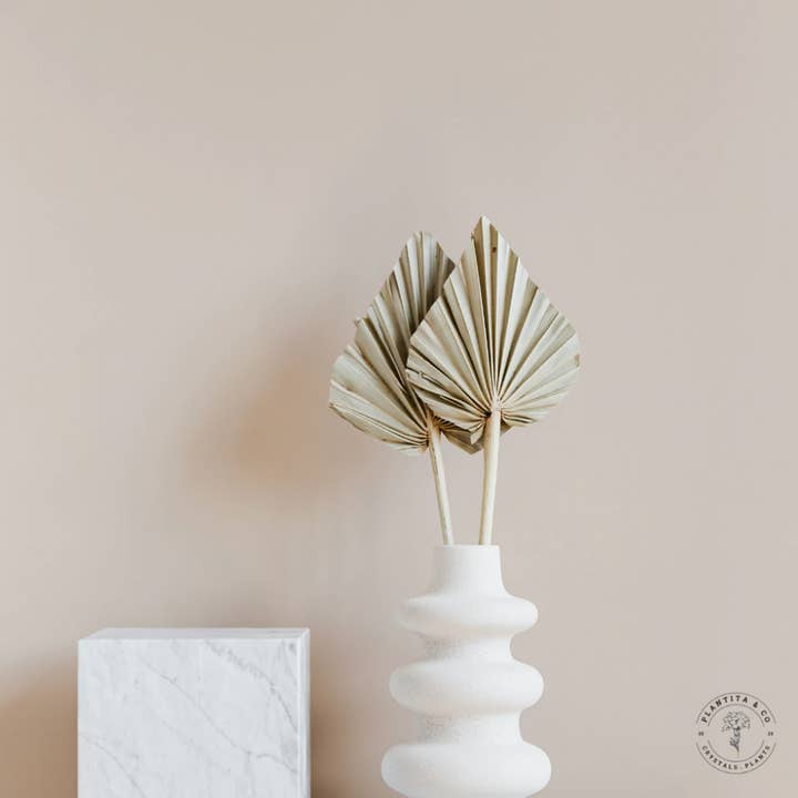 Plantita & Co. – wholesale Dried/pressed flowers – Natural Spear Palms Dried/Pressed Flowers