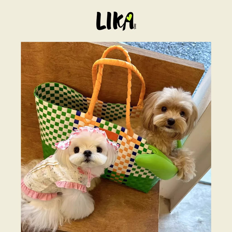 Likapaws / Heinemann Trading GbR - Wholesale Pet Carrier - Cat/Dog - Lightweight Summer Pet Carrier Green3