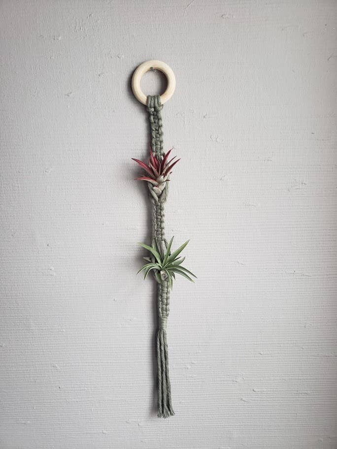 Colgador de Planta De Aire Doble - Verde Sage para venta al por mayor de Mother of Pearl Handmade Goods