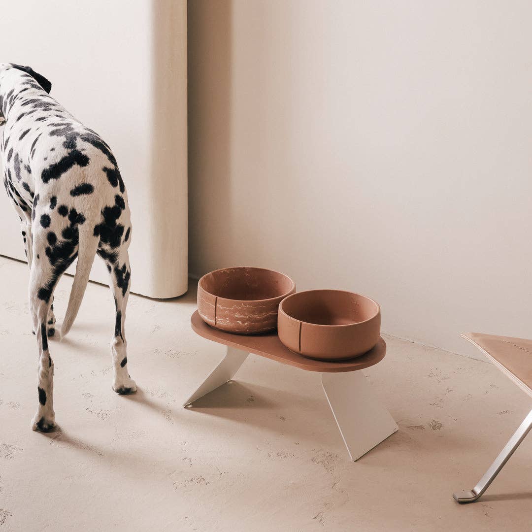 PINO – Engroshandel Kæledyrsskål – Hund – Klassisk skål61