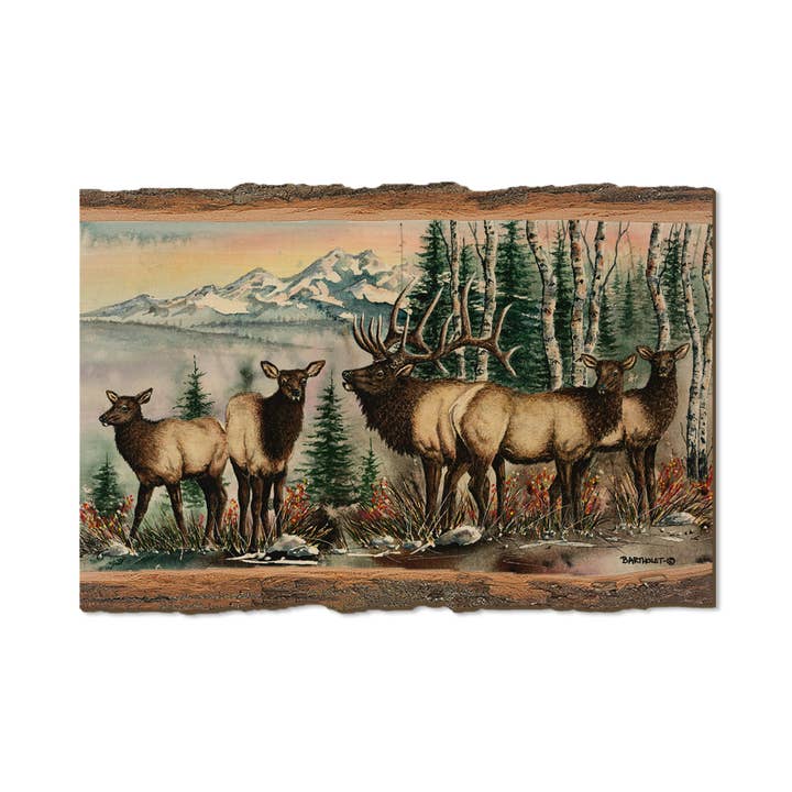 Bartholet's Clear Cut - Live Edge for wholesale by DaydreamHQ