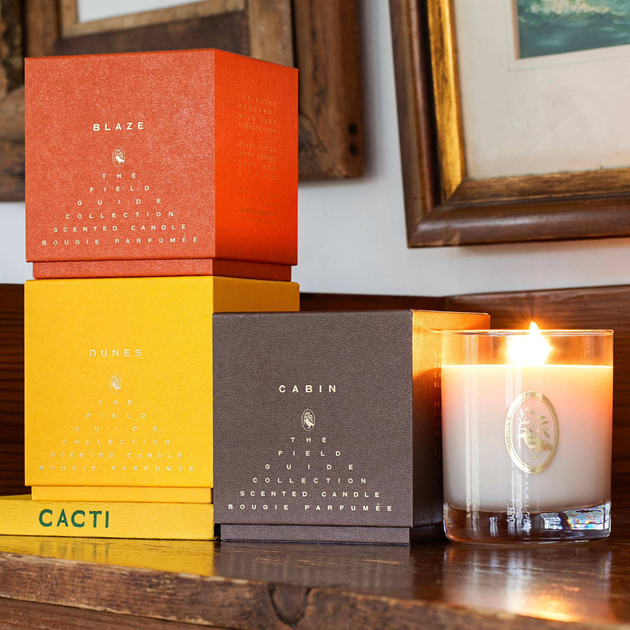 Field Guide Essentials - Vente Bougie en bocal - Bougie Signature Blaze en Cire de Soja2