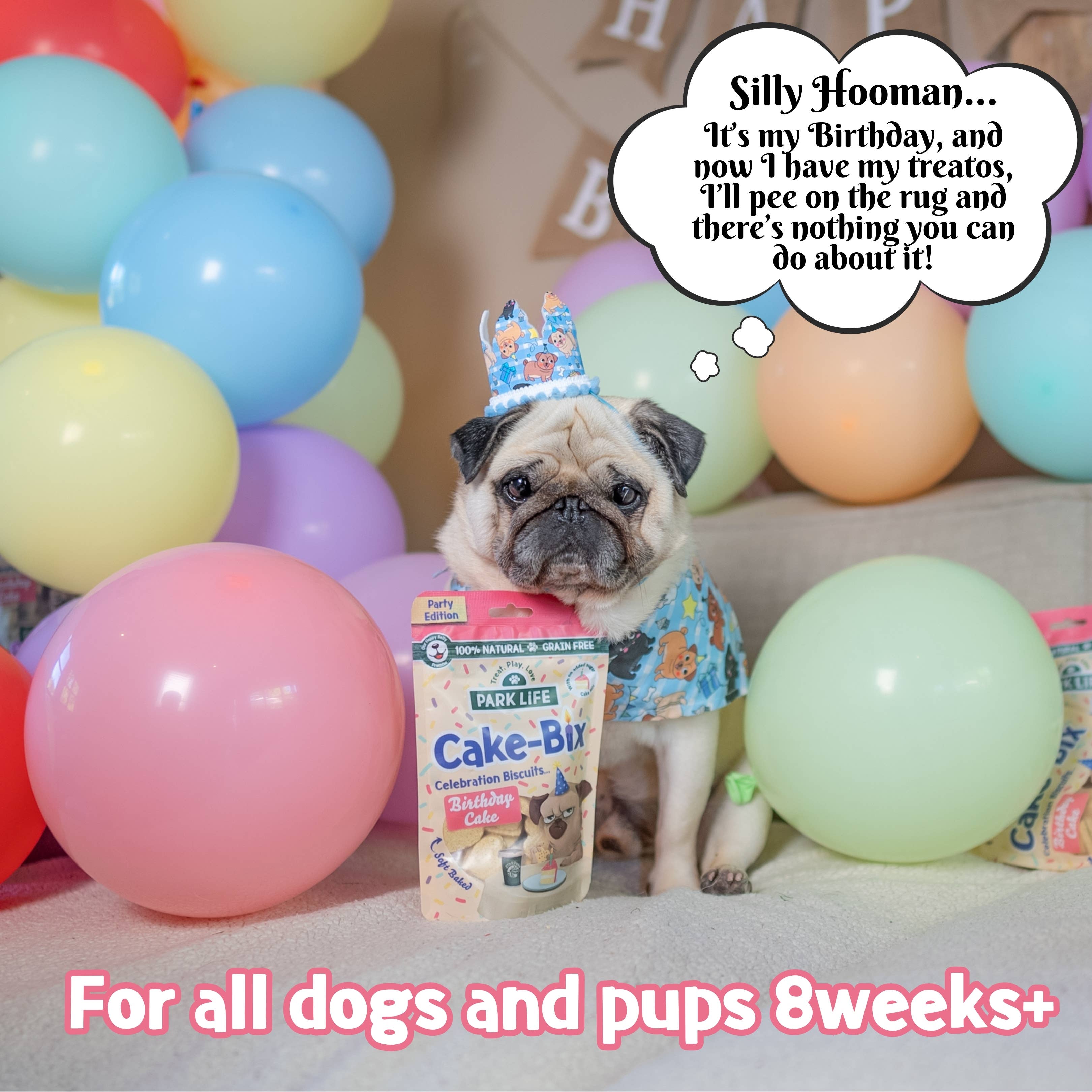 PARK LiFE - Wholesale Pet Biscuit - Dog - Cake-Bix Dog Biscuits Birthday Cake Flavour 100g7