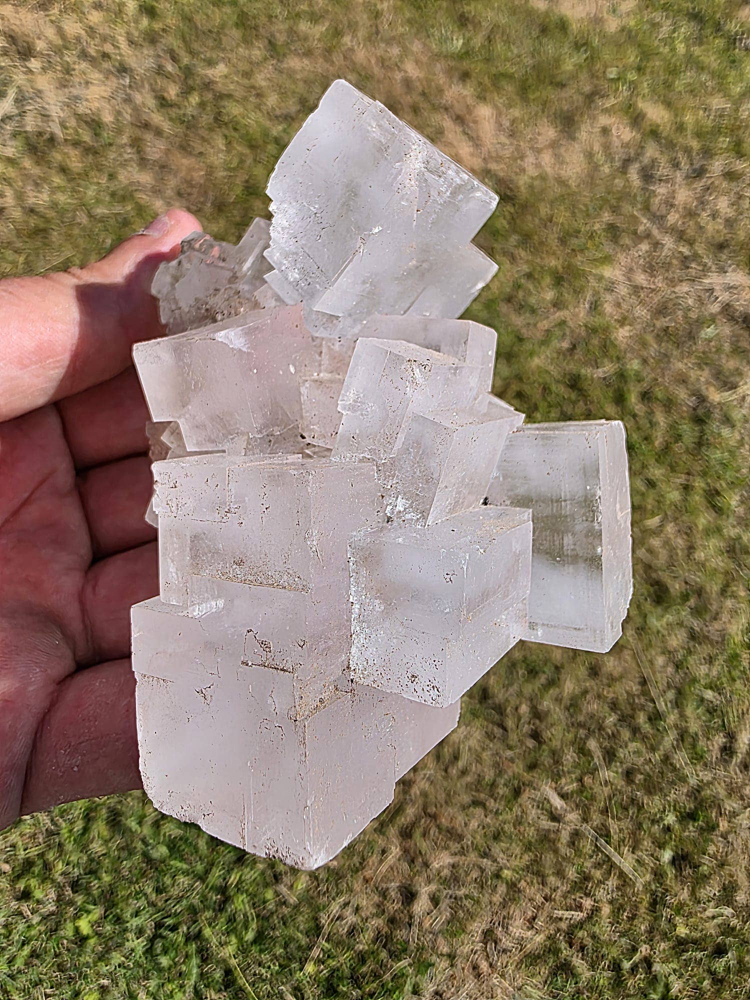 Distinction Crystals - Wholesale Spiritual Stone/Crystal - Halite Salt Crystal Clusters 300-400g1