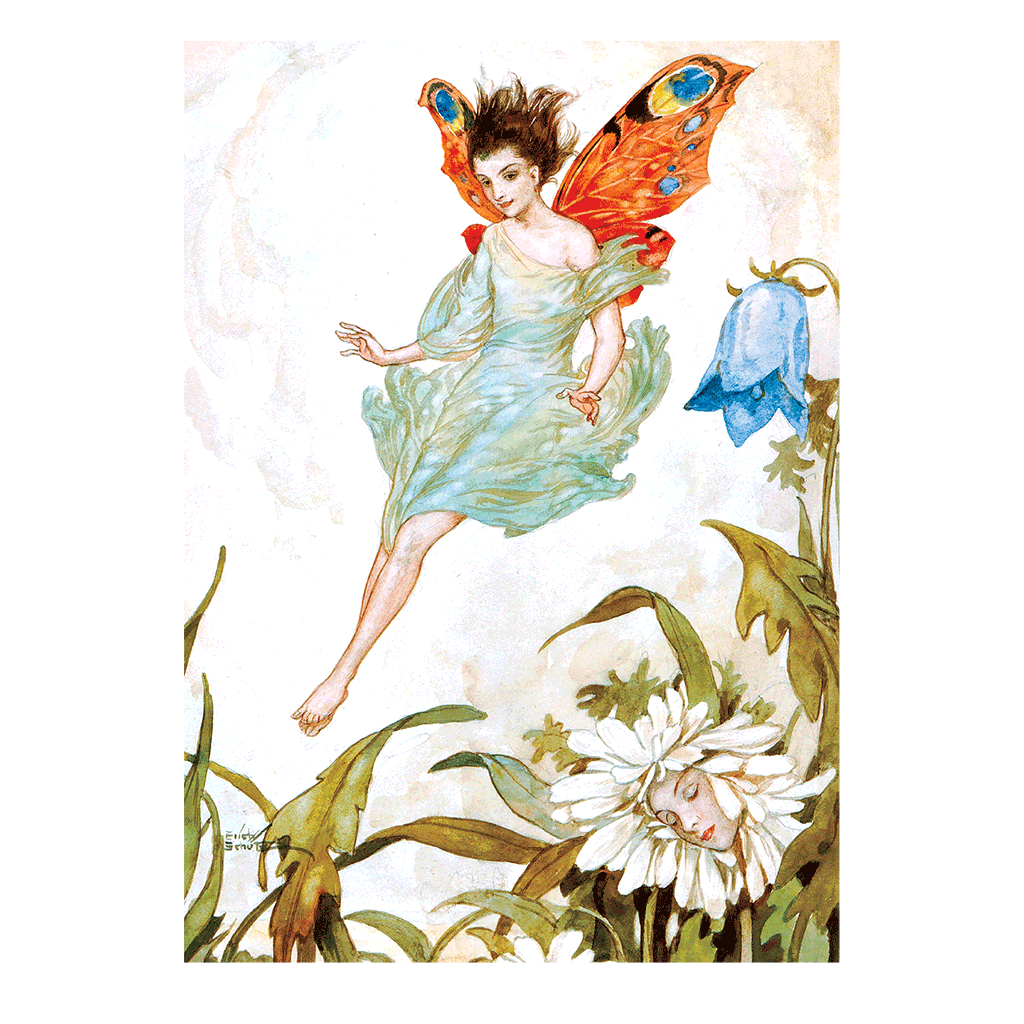 Laughing Elephant – wholesale Vardagliga hälsningskort – Fairy med fjärilsvingar - älvor gratulationskort1