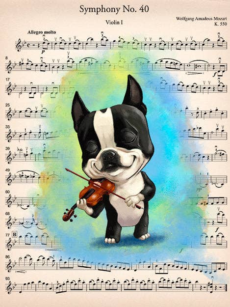 Boston Terrier, Musician, Dog Art Print - Playing Violin for wholesale by Brian Rubenacker studios