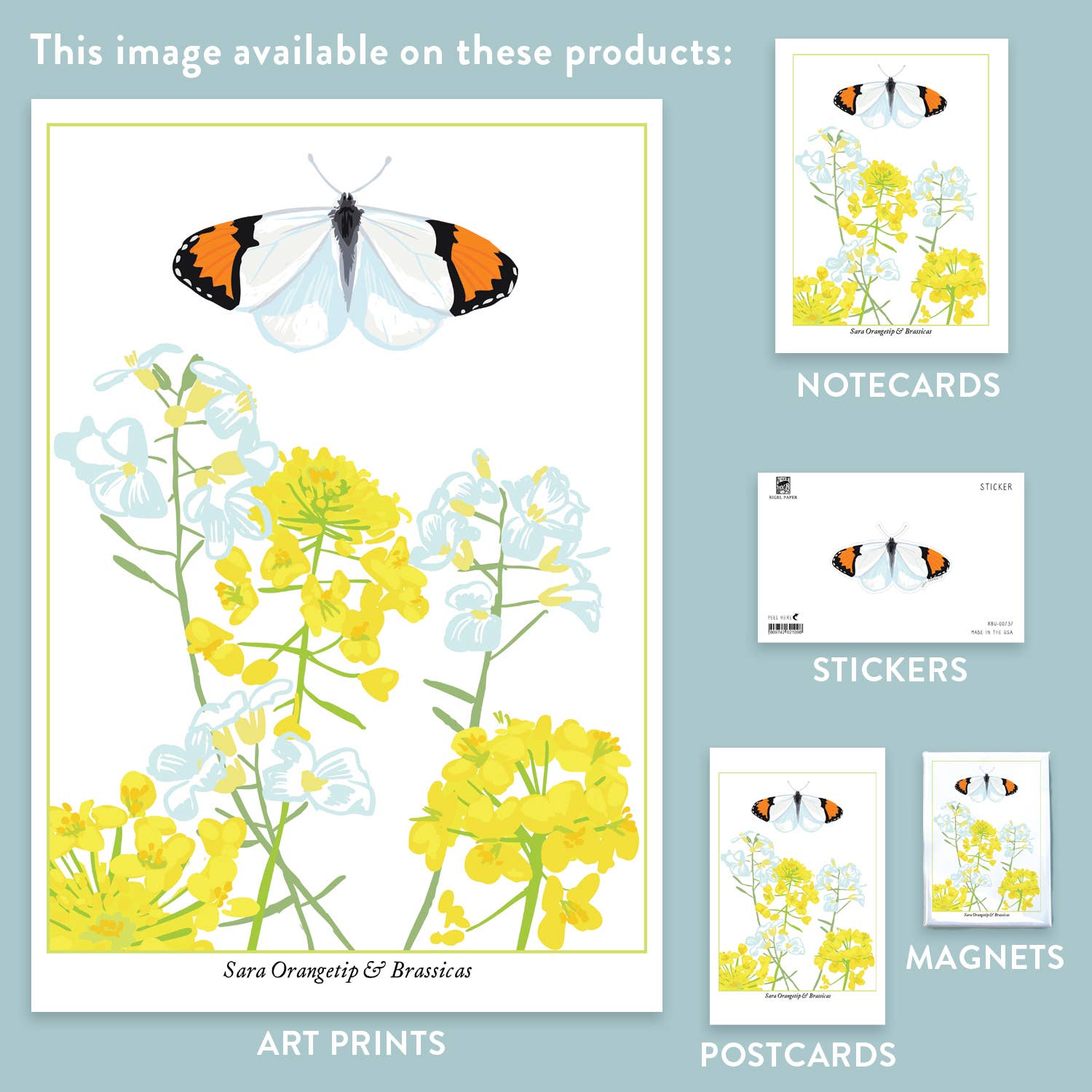 Rigel Paper – wholesale Magnet – RBU-737 Sara Orangetip Butterfly Magnet2