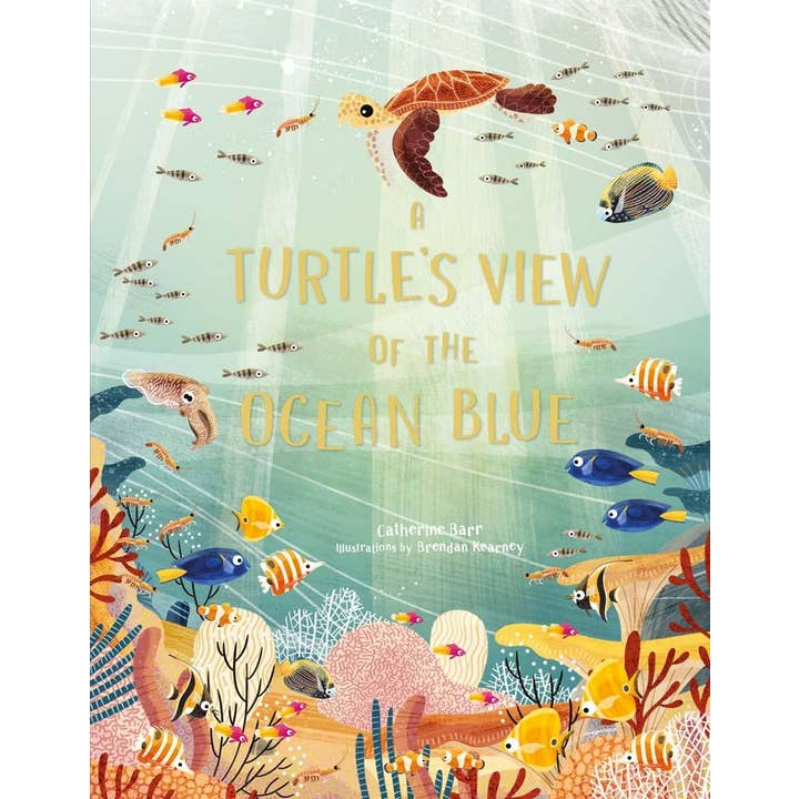 Chronicle Books - Wholesale Nature & Outdoors - A Turtle's View of the Ocean Blue