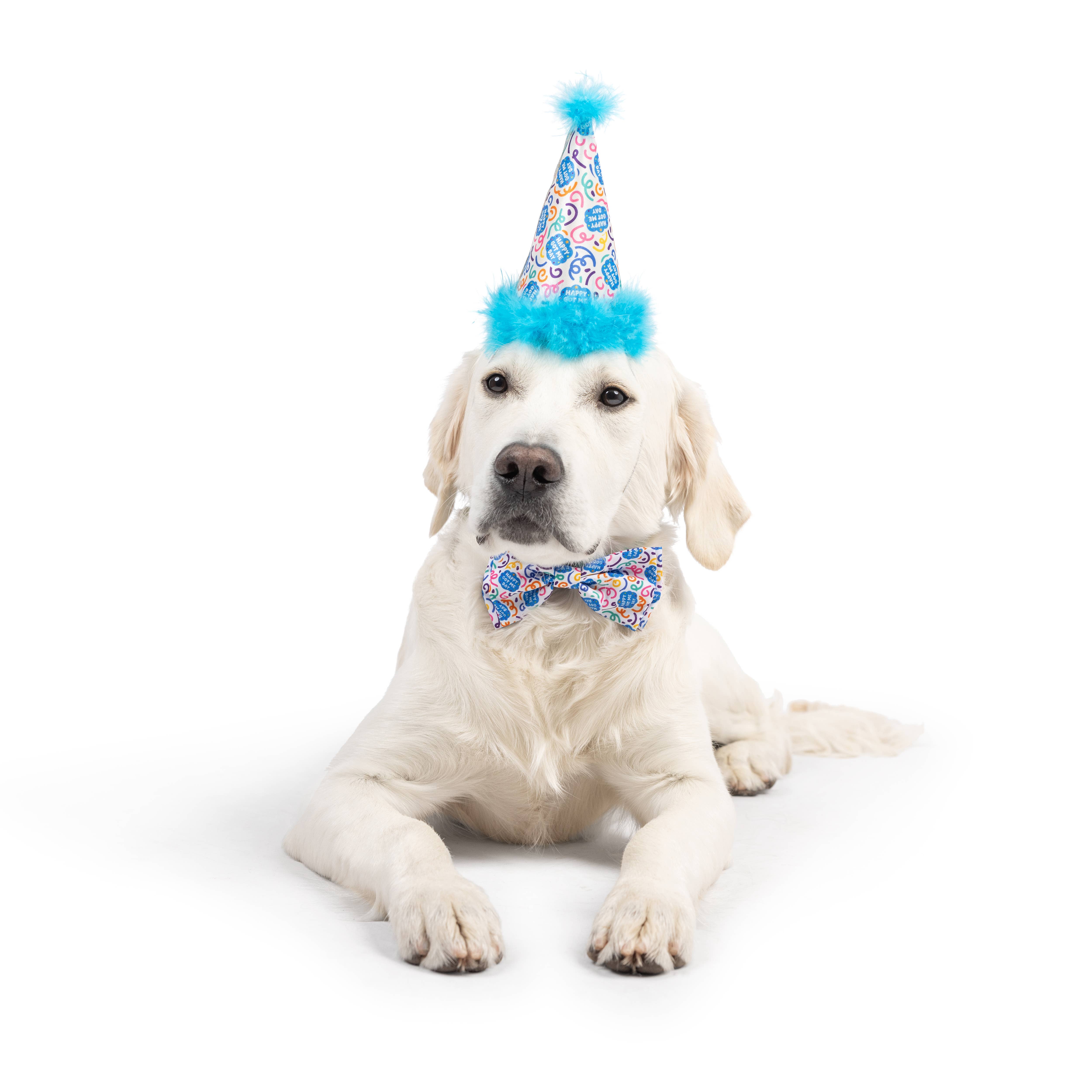 Huxley & Kent - Vente Chapeau – chien - Joyeux jour de Got Me Chapeau de fête avec SnugFit®2