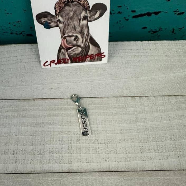 Crazy Heifers Wholesale - Wholesale Individual Charm/Pendant - Clip-on Charms Silver Tone5