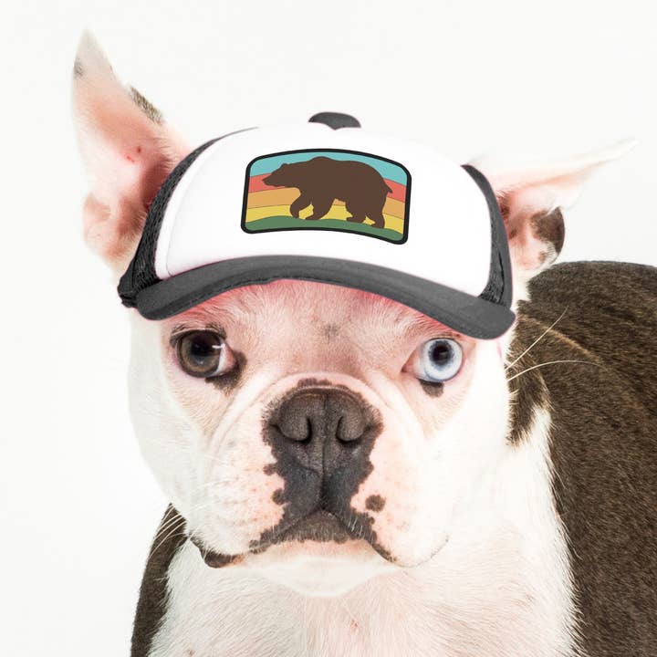 PupLid - Wholesale Pet Hat - Dog - Bear Standard or Namedrop | Trucker Hat for Dogs
