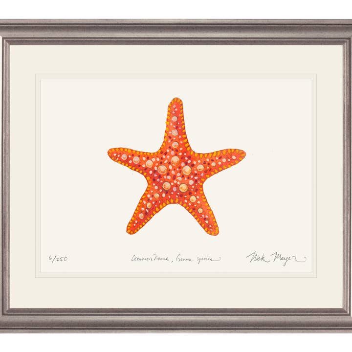 Nick Mayer Art - Vendita all'ingrosso Stampa artistica - Stampa in Edizione Limitata di Stella Marina Cornuta