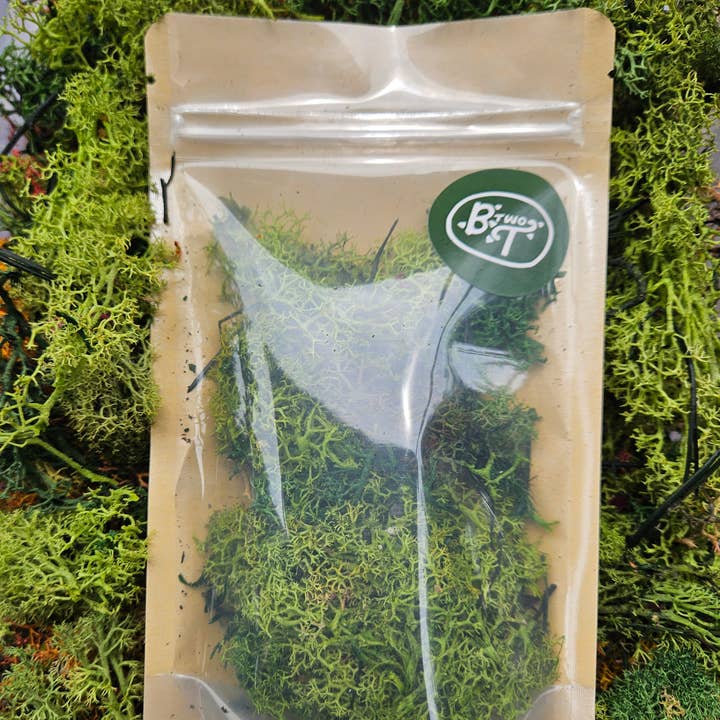 Decorative Reindeer Moss (Cladonia rangiferina-Dyed green) and other Purchase wholesale ferrous sulphate moss killer. Free returns & net 60 terms on Faire trending on Faire.