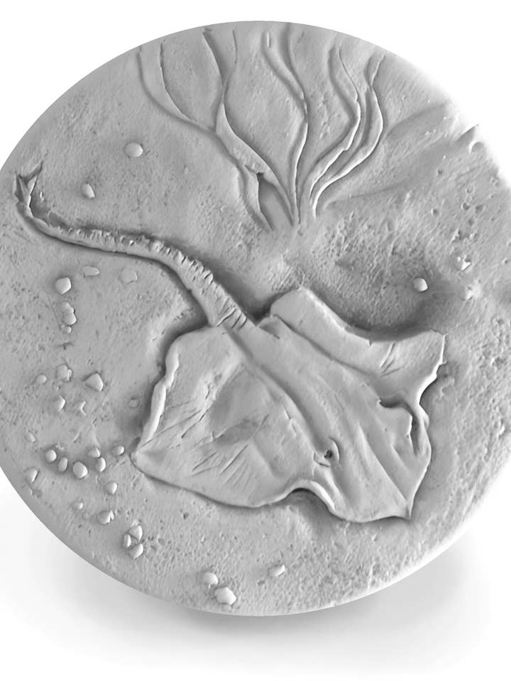 Stingray Drink Coasters for wholesale by McCarter Coasters