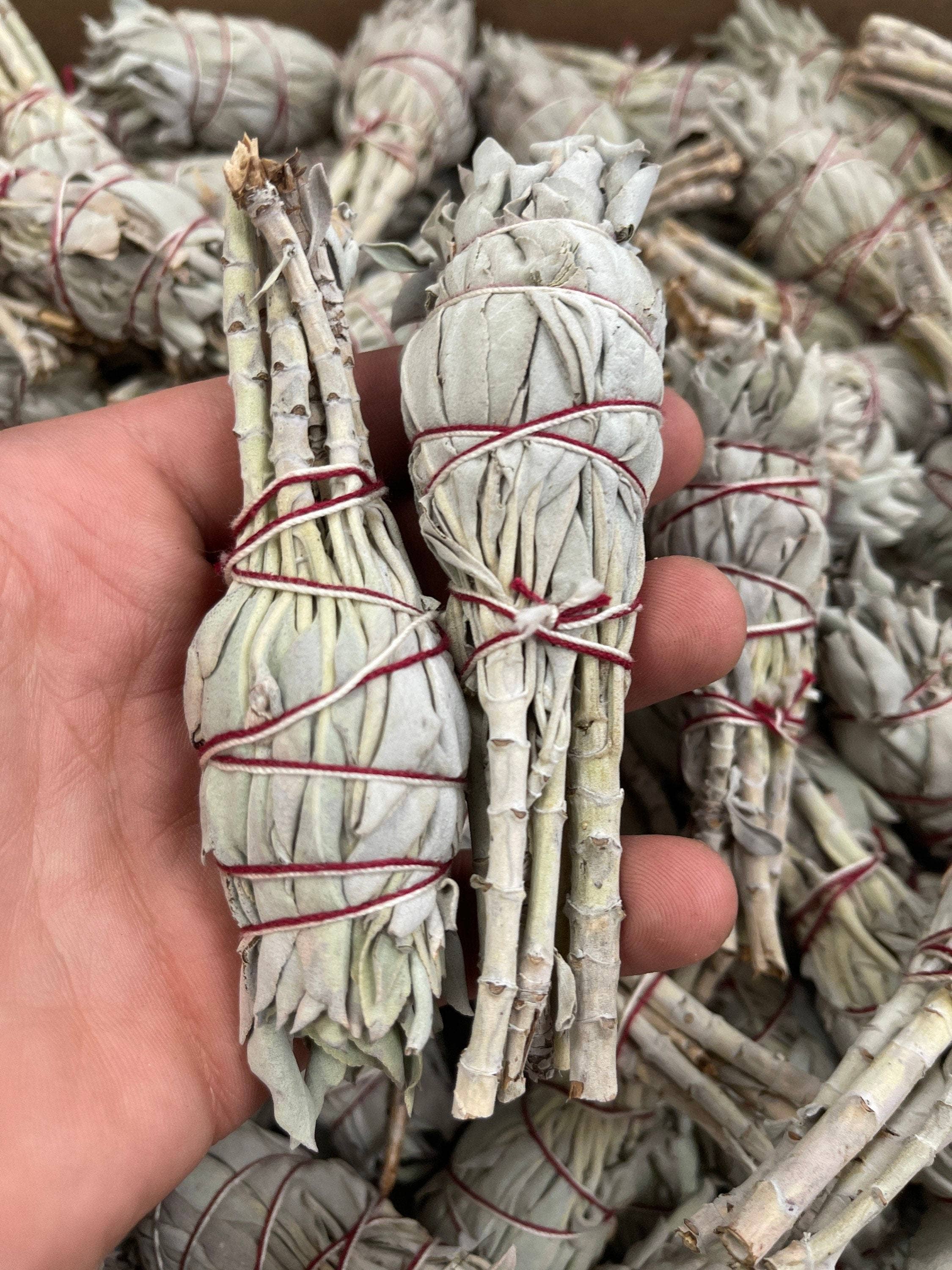 CaNatureLover – wholesale Salviabunt – ORGANISK ficklampa Sage Smudge pinnar,1.55