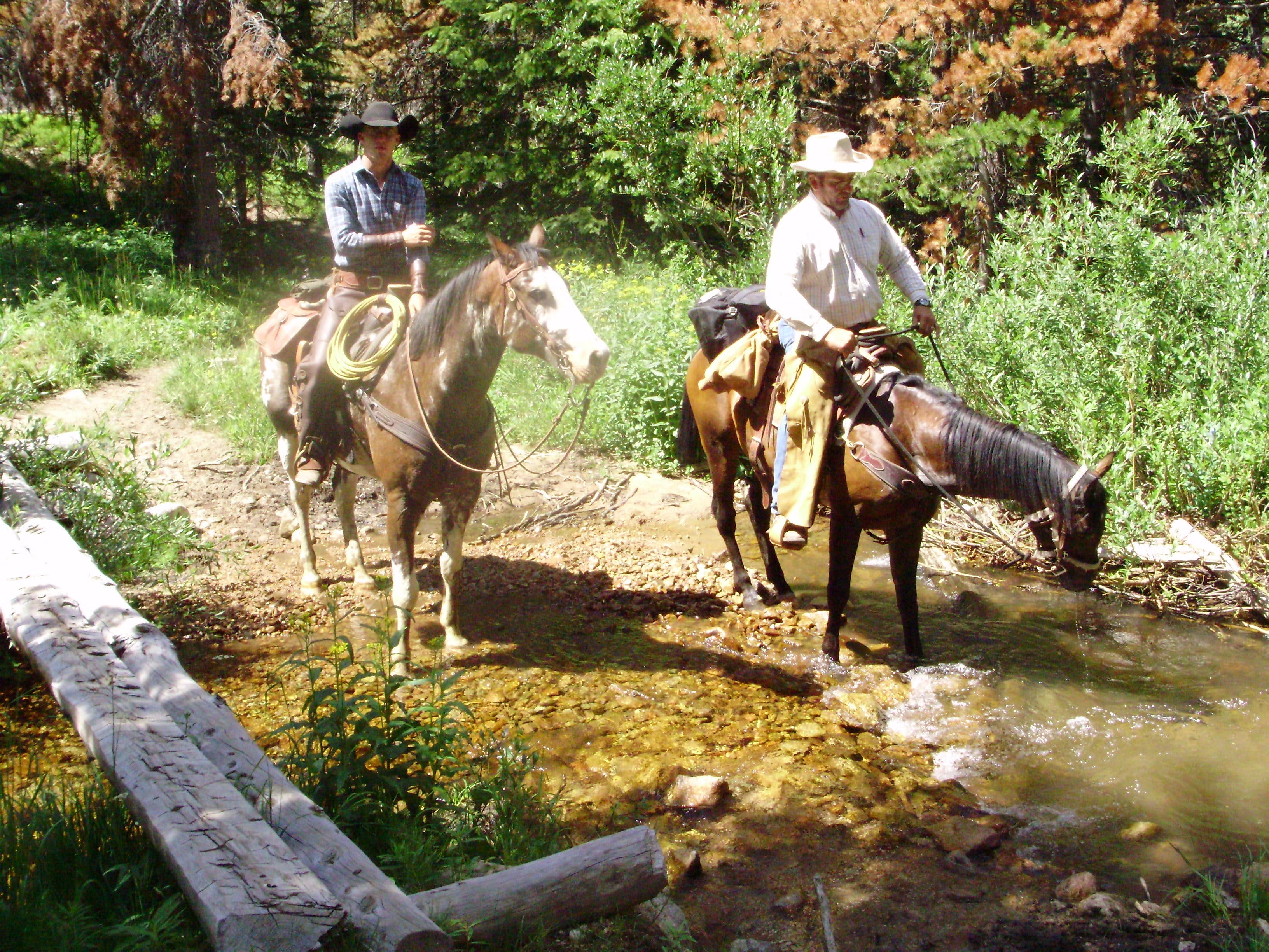 The Dutch Oven Smokehouse - Wholesale Sauce - Stampede! Steak Sauce2