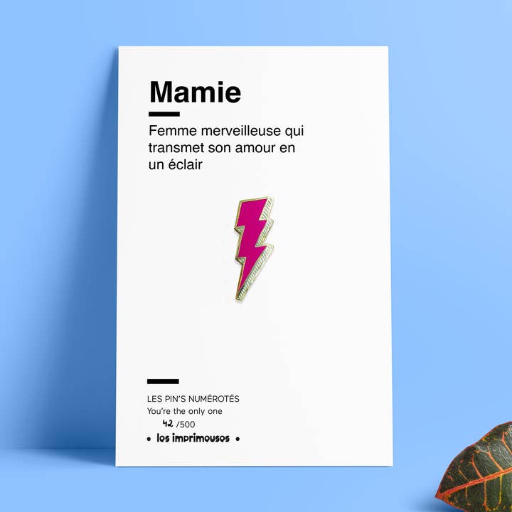 Pin's - Éclair - Bedstemor - Speciel Bedstemors Dag for engroshandel hos LES IMPRIMEUSES