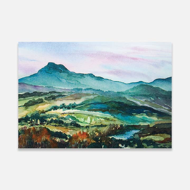 Bosse de chameaux pour la vente par Montstream