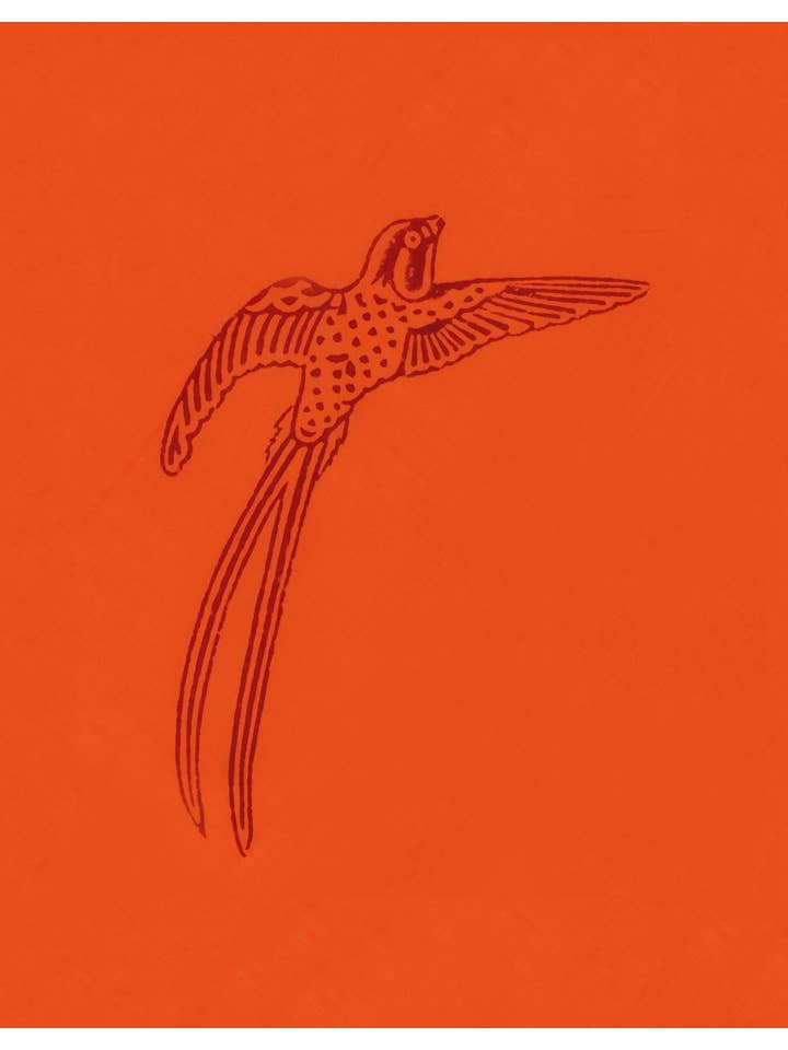 Susannah Cotton - Vente Peignoir – femme - Peignoir kimono en coton Susannah - Oiseau à longue queue rouge sur orange3