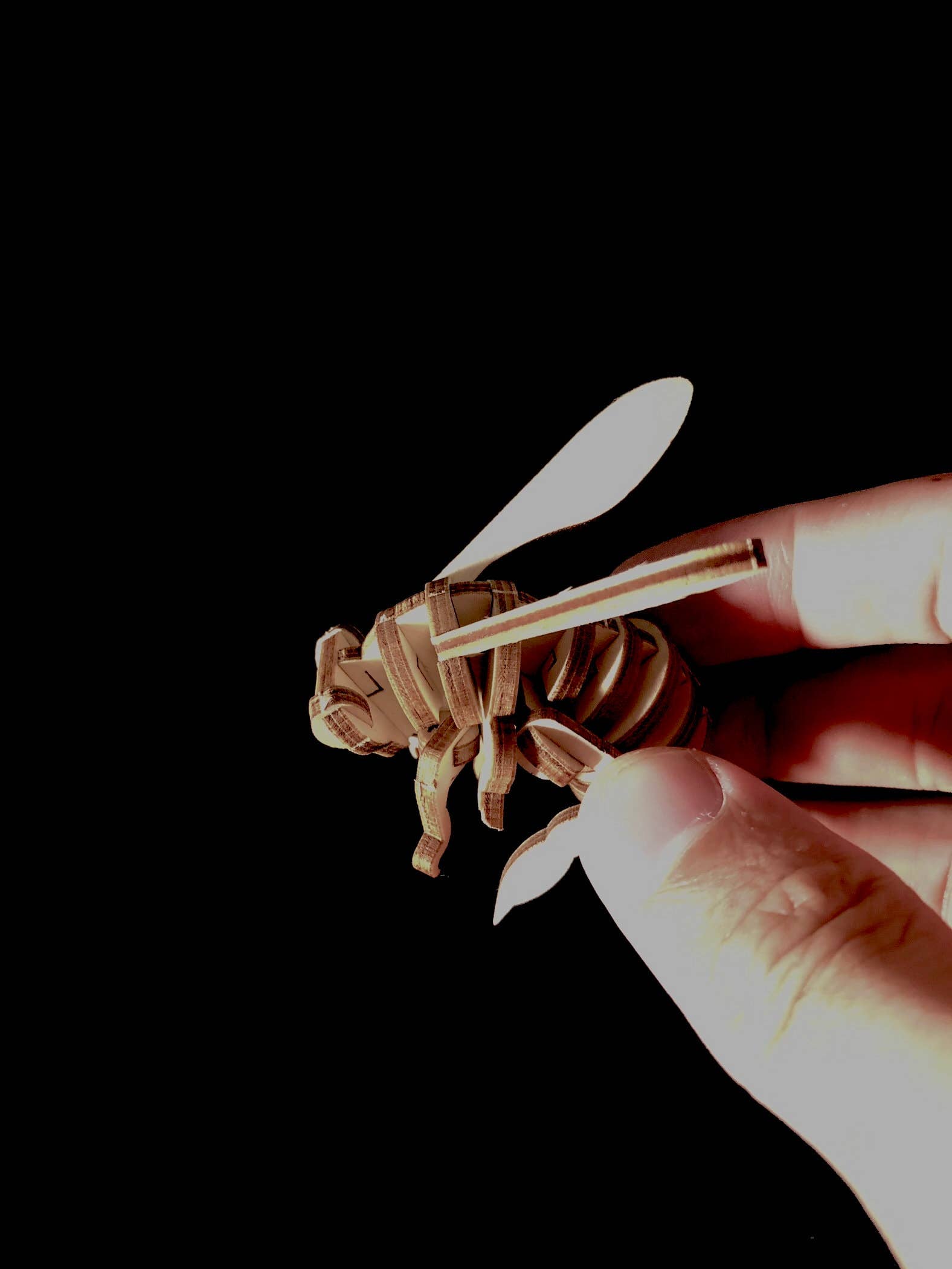 Polygon Jungle - Wholesale DIY Craft Kit - Bee Bud - Timber Pot Accessory Craft Kit3