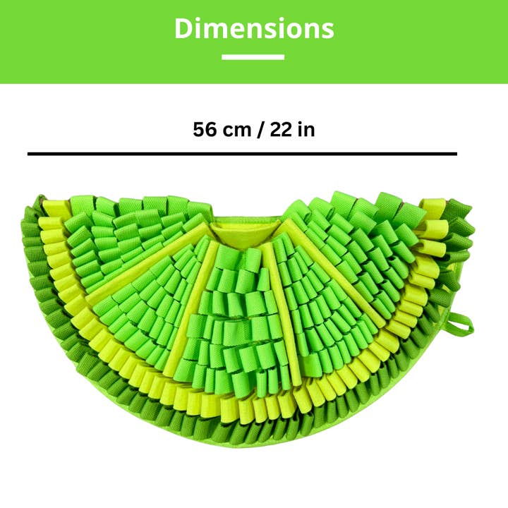 PawzNDogz - Wholesale Pet Food Mat - Dog - Zesty Lime™ Snuffle Mat | Challenge Level 27