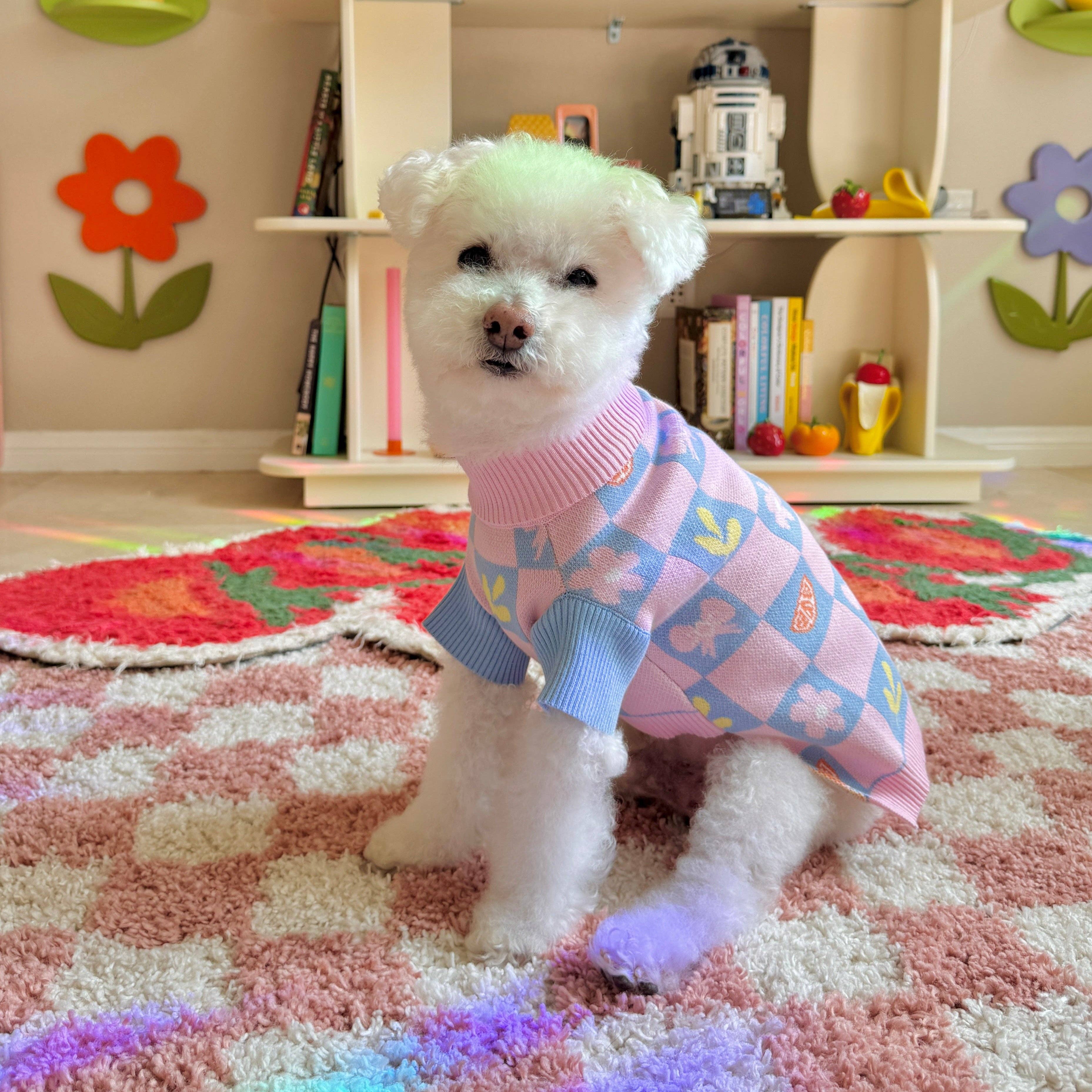 Sunbean - Wholesale Pet Sweater - Dog - Shelly Roll Neck Knitted Dog Sweater2