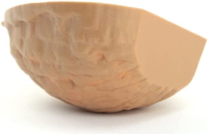 Meyer Imports - Wholesale Decorative Tabletop Object -  German Empty Walnut Shells - 6 Pcs - 203-3-0521