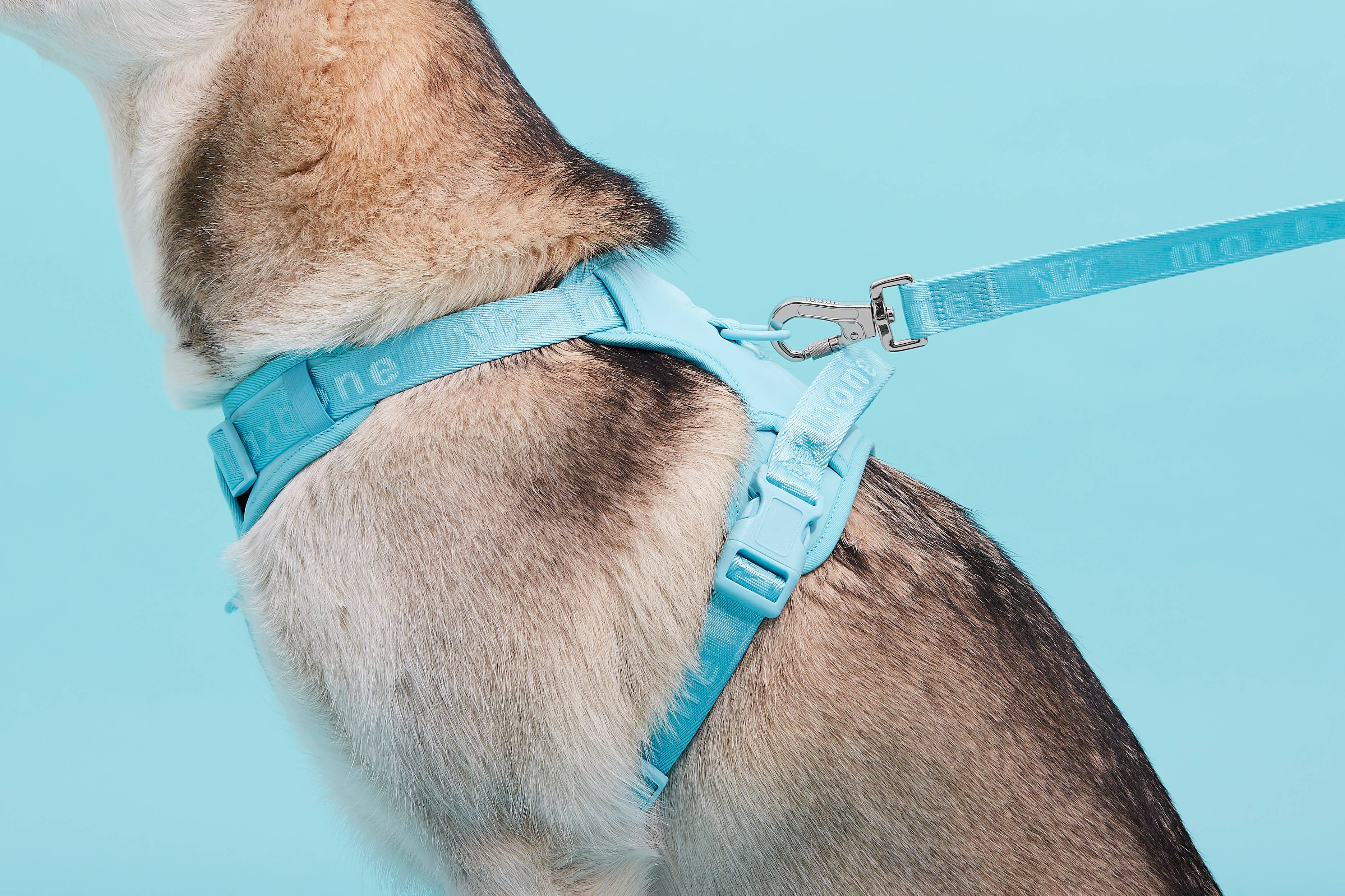 ARISTOPET - Wholesale Pet Leash - Dog - GO WITH EASE HANDS-FREE LEASH14