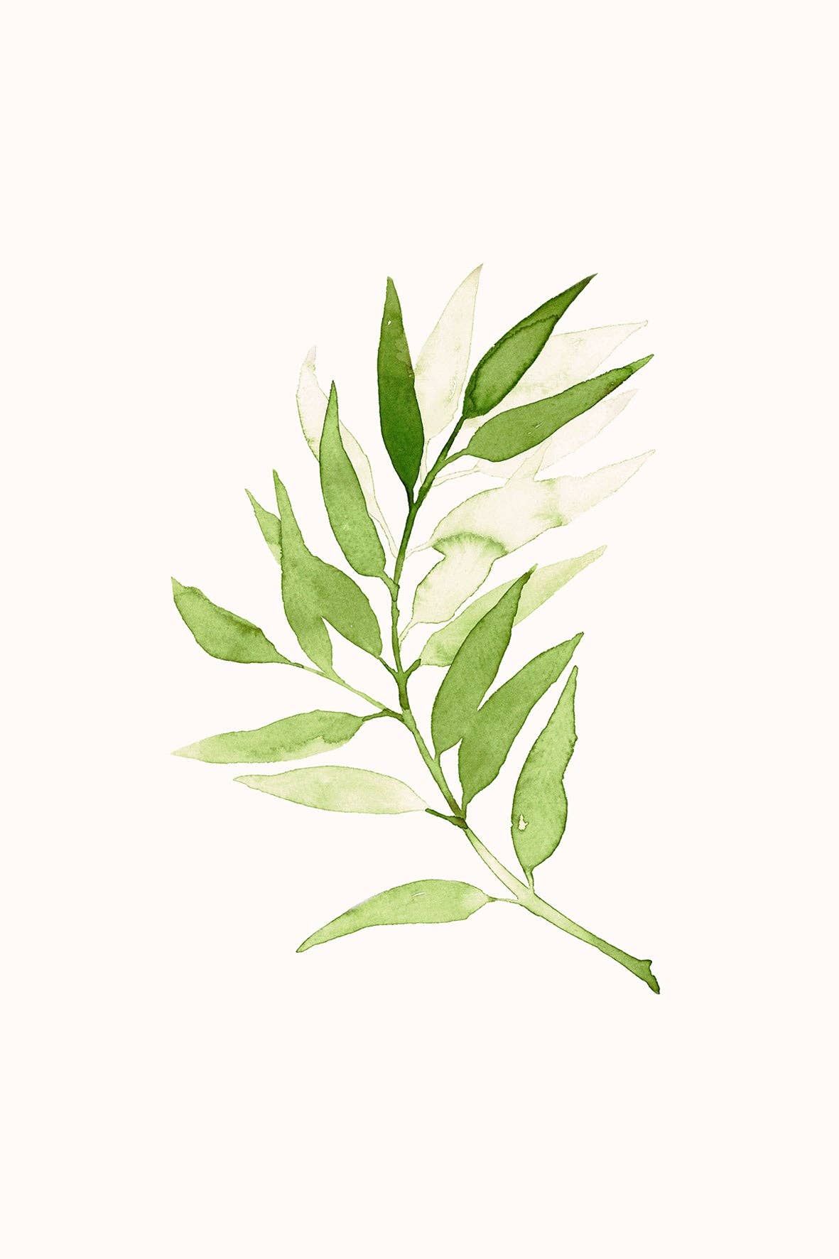 Alba Moreno Illustration - Wholesale Art Print - Rama Verde print4