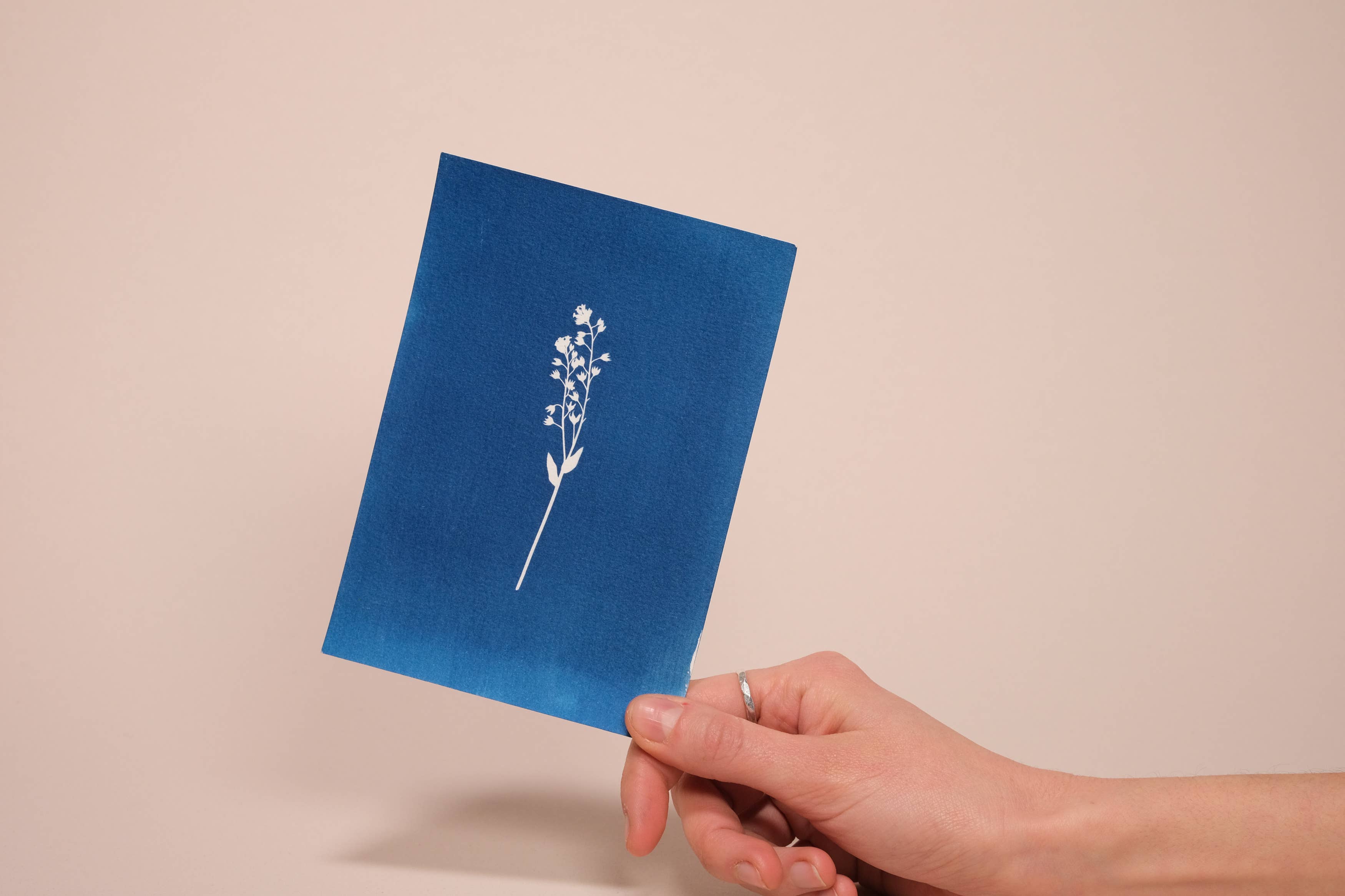 L'Atelier des Epatants – Kit de artesanato DIY por atacado – Kit de cianotipia7