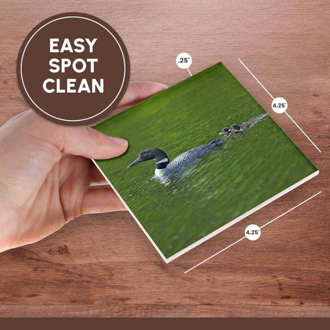 3dRose - Wholesale Onderzetters - 3dRose, Cassels Lake. IJsduiker met kuikens, Onderzetter6