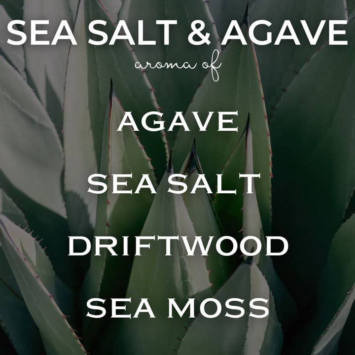 The Diya Co - Wholesale Jar/Filled Candle - 12 oz Sea Salt and Agave | Coconut Soy Candle5