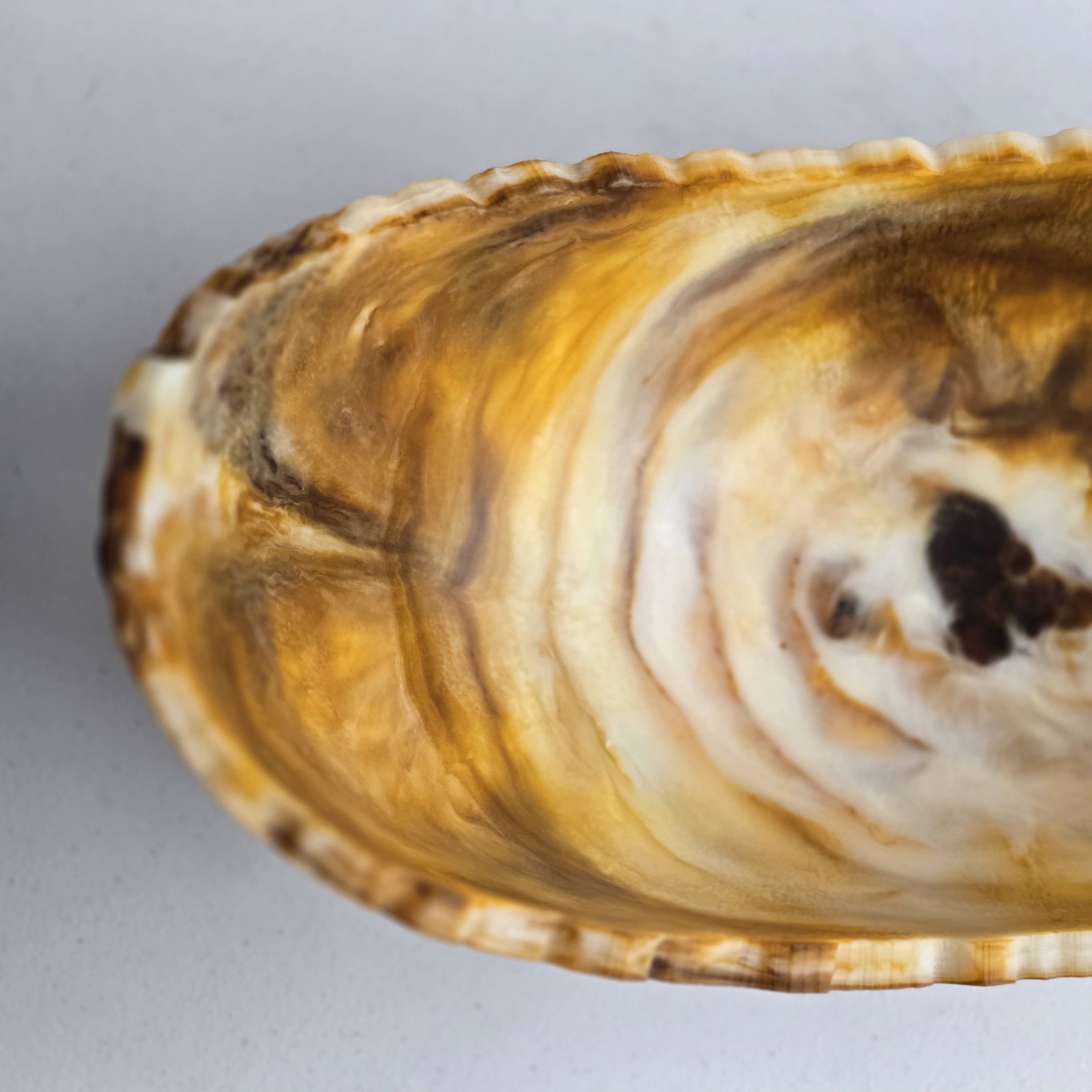 Gibb & Daan - Vente Bol de service - Abreuvoir en résine de taille moyenne, fourre-tout, bol décoratif2