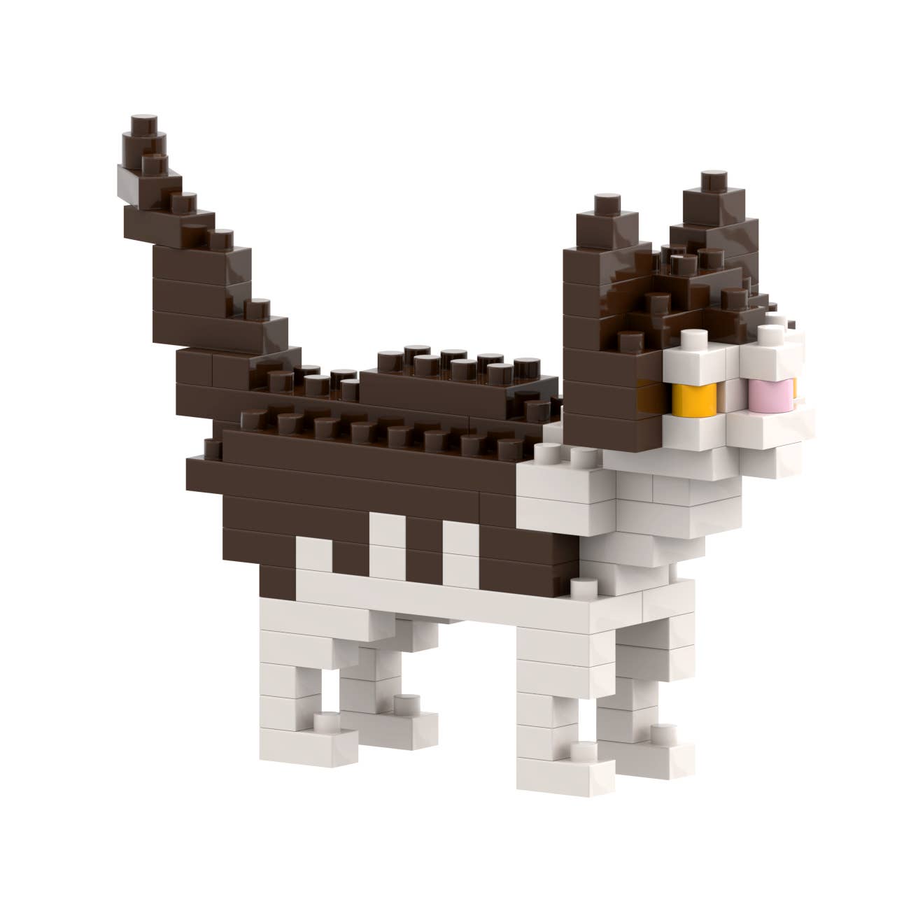 Brixies - Vendita all'ingrosso Gioco da costruire - Bambini - Gatto domestico BRIXIES