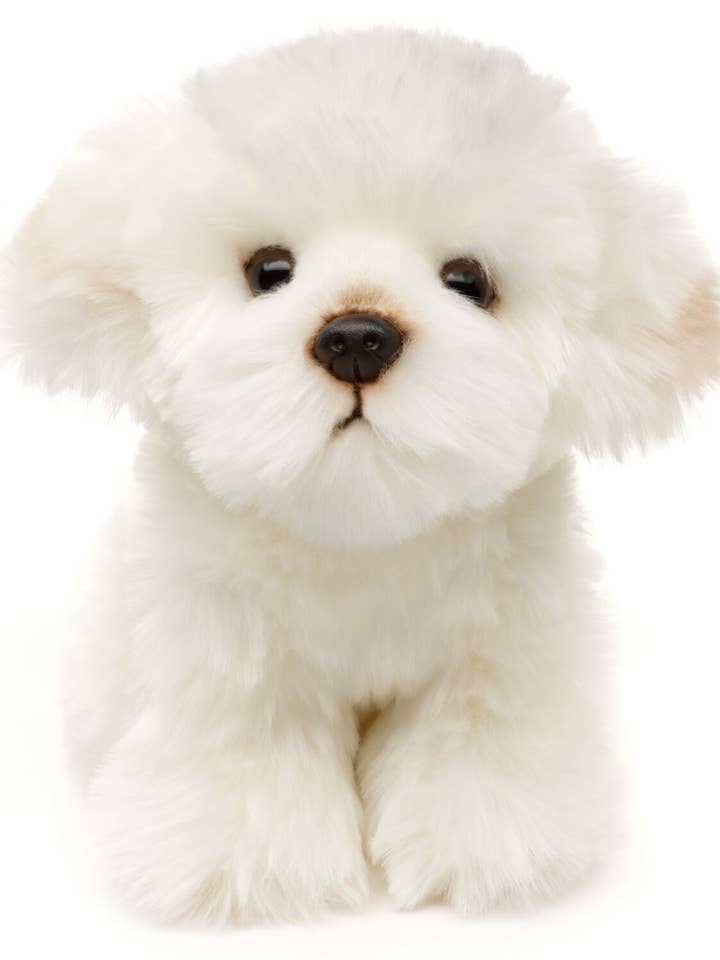 Maltese dog - 18 cm (height) - cuddly/plush toy for wholesale by Uni Toys