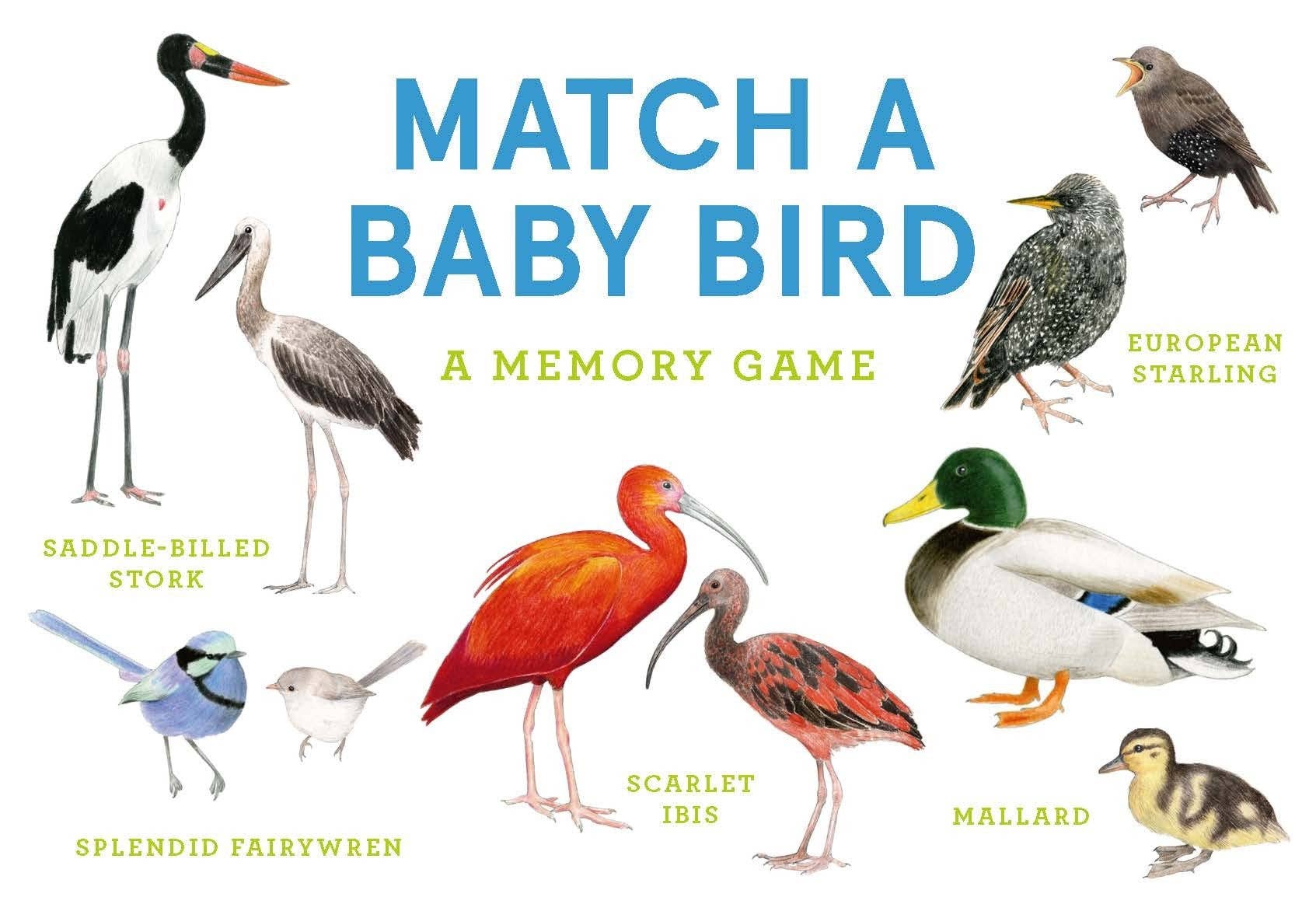 Chronicle Books - Wholesale Card Game - Match a Baby Bird