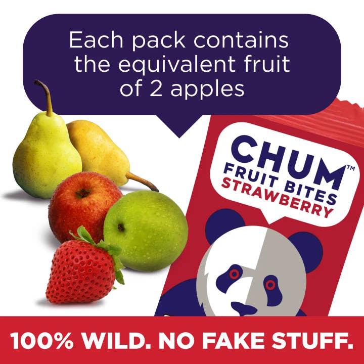 Chum Fruit Bites - Wholesale Fruit Snacks - 192 pack - Strawberry 100% Real Fruit Snacks, No Sugar Added