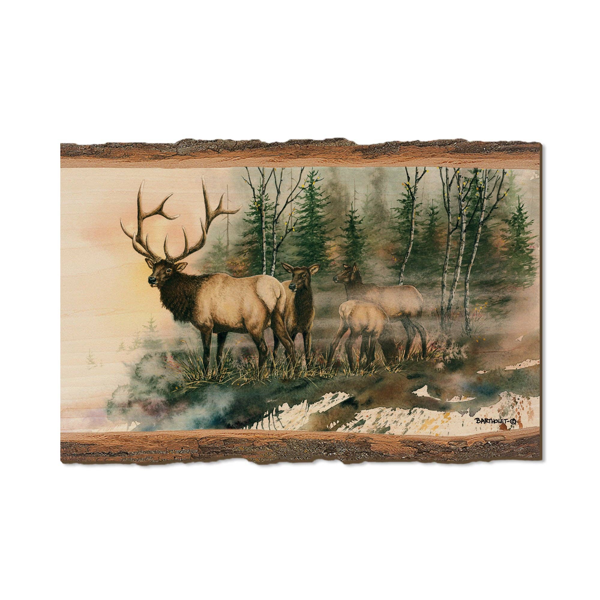 DaydreamHQ - Wholesale Postcard - Daybreak - Wood Magnets & Postcards2