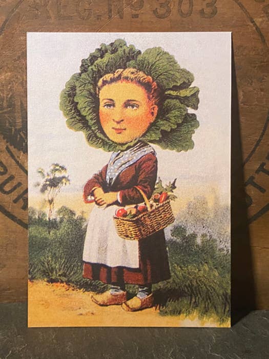 Cabbage Head for wholesale by Irreverent Cards for Challenging Times