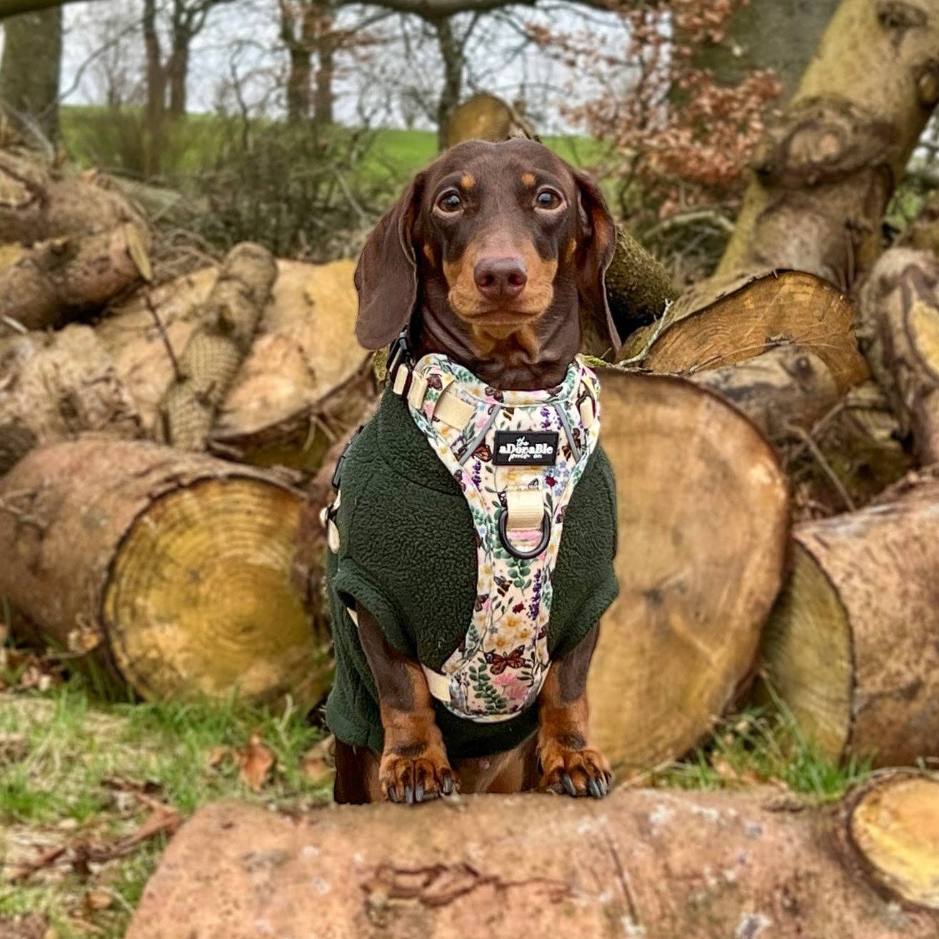 The aDoraBle Pooch Company – Arnês – Cão por atacado – Arnês Hike & Go Lite™ - Bumbles & Butterflies29