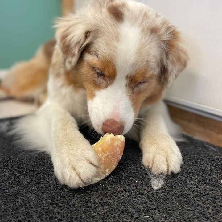 Truffe Délice - Wholesale Pet Treats - Dog - Garnished veal shank1