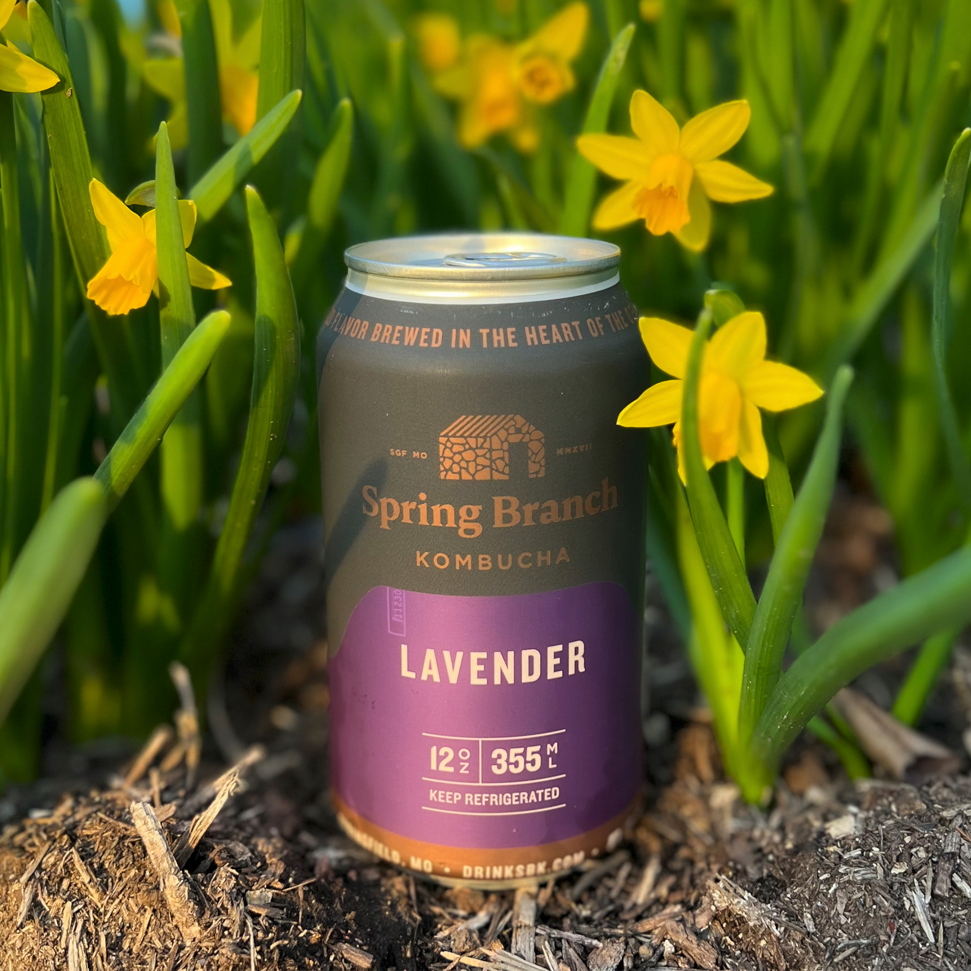 Spring Branch Kombucha - Wholesale Kombucha - Lavender Kombucha - Low Sugar, Gluten-Free, Vegan, 12 oz1